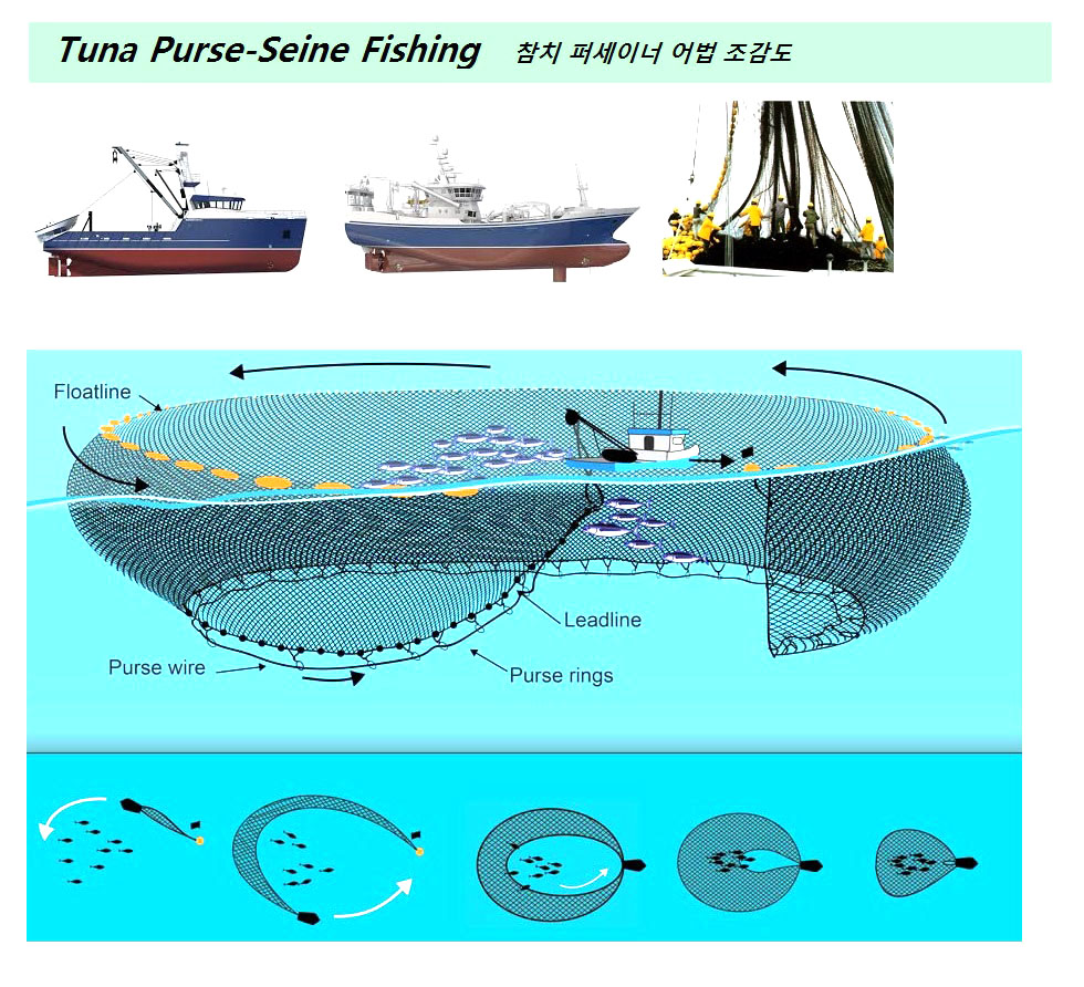 purse seine fishing